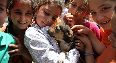 KARŞIYAKA'DA 40 BİN CAN DOSTA ŞEFKAT ELİ UZANDI